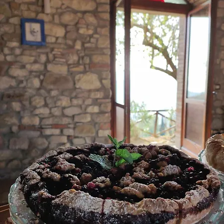 Torre Di Celle 別荘 Monte Santa Maria Tiberina